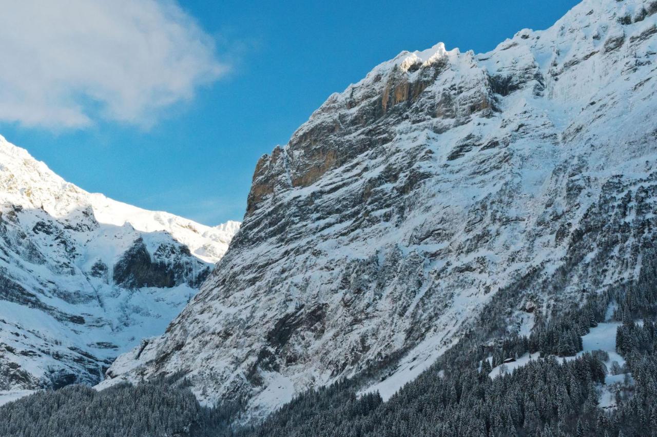 Alpenblick Penzion